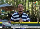 Se movilizan FARC a zonas veredales de transición y normalización