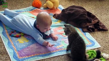 funny videos-4Cute Cats and Dogs Love Babies Compilation 2016