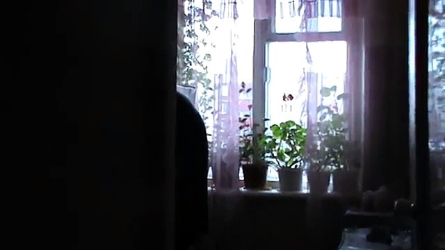 Моя мама сломала руку — 29.12.2016 год