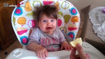 Baby Eats Lemon - A Babies Eating Lemons For The First Time Compilation 2016    NEW HD