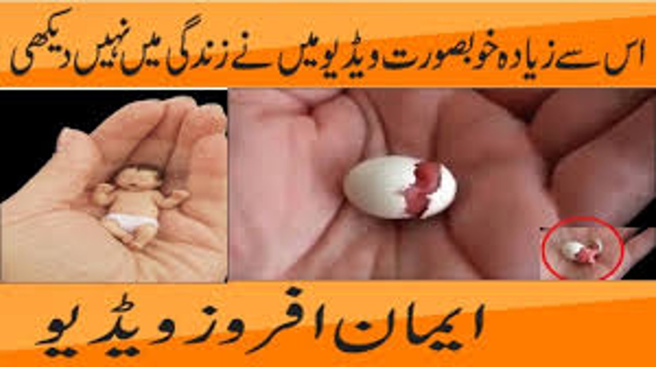 Dosto Is Say Zyada Khoobsurat Video Ma Na Apni Zindgi Ma Nae Dakhi - YouTube