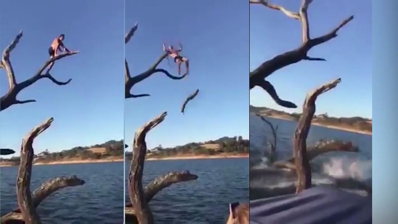 Sauter depuis un arbre Fail