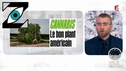 [Zap Télé] Télématin pour la légalisation du cannabis (29/12/16)