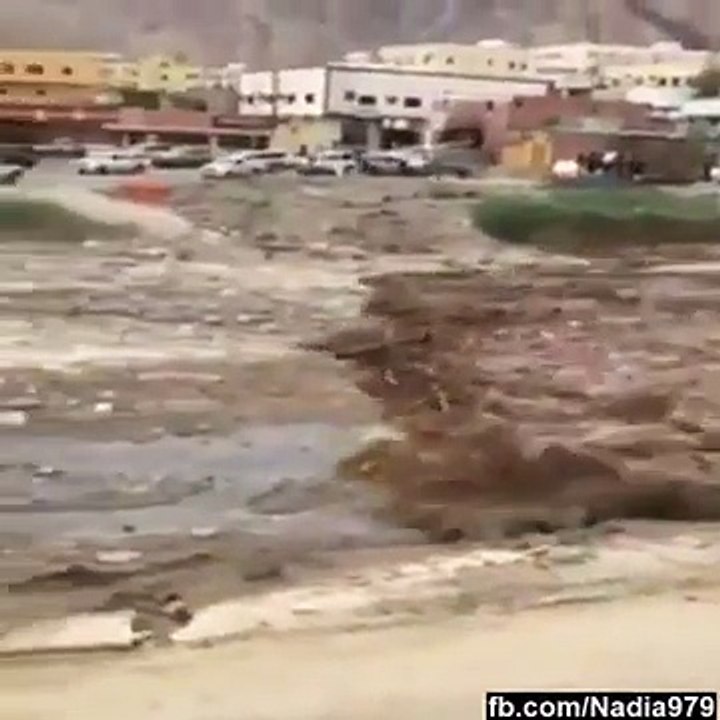 Flash Floods In Saudi Arabia Caught On Tape