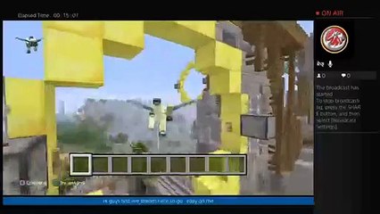 Minecraftgamer (6)