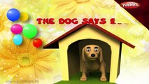 The Dog Says Bow | Nursery Rhymes With Lyrics | Nursery Poems | 3D Nursery Rhymes For Children