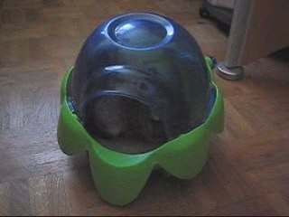 Mercredi prend son bain