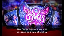 WWE Divas Championship History 2008 - 2016|WOMEN ACTION CLUB|
