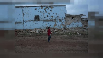 Сирія: вступило у дію перемир'я між режимом і повстанцями, погоджене Москвою і Анкарою