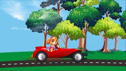 Мультик игра Щенячий патруль мультфильм все серии подряд