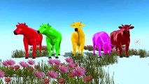 3D Cow Colourfull Colour Song | Cartoon Kids Rhymes For Learning Nursery Rhymes Baby Collection