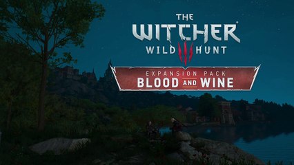 The Witcher 3: Wild Hunt – final