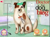 NEW Мультик онлайн для девочек—У ветеринара лечим собаку—Игры для детей