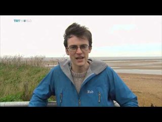 Scientists baffled by whales on UK shores, Simon McGregor Wood reports