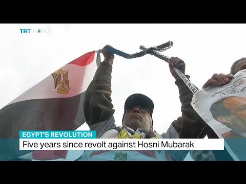 Brian Dodley from Human Rights First talks to TRT World over Egyptian revolution