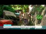 Measures against Zika stepped up in Uruguay