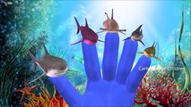 Sharks Finger Family Cartoon Nursery Rhymes For Kids | Finger Family Shark | Rhymes For Children