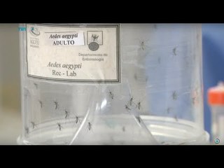 WHO says Zika virus can get worse, Christine Pirovolakis reports