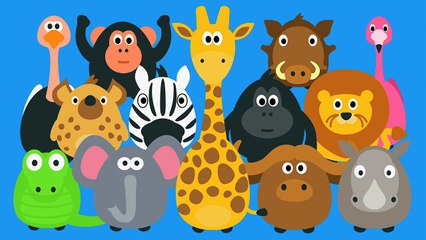 Learning Wild Animals for Kids - Teaching Animals Video for Toddlers - Stacking Tsum Tsum Style