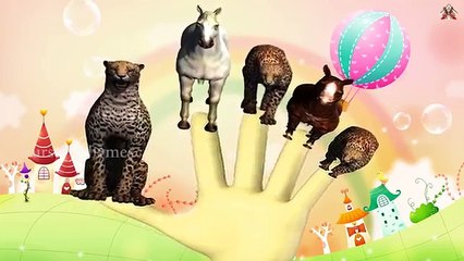 Finger Family || CHEETAH,S GROUP ATTACK ON GROUP OF HORSE version || Nursery Rhymes and Baby Songs