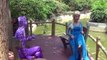 Siêu Nhân Nhện Và Nữ Hoàng Băng Giá Elsa - Phim Hoạt Hình - Videos Hài Hước tập 46