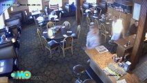 Cervo selvagem descontrolado invade Café em pleno funcionamento.
