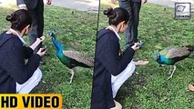 (VIDEO) Anushka Sharma Feeding Peacock | Virat Kohli