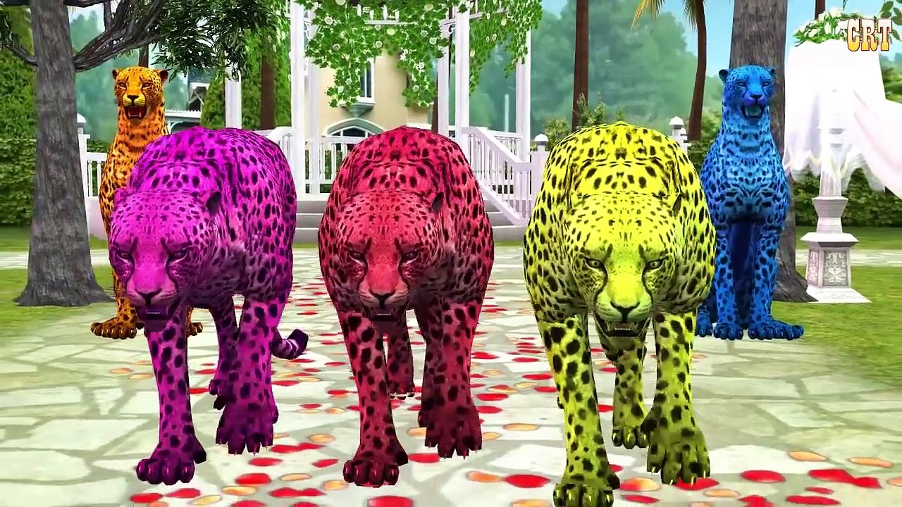 Animals Sounds Nursery Rhymes | Children Rhymes For Kids Collection