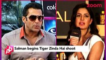 Iulia To Accompany Salman & Katrina On The Sets Of 'Tiger Zinda Hai'| Bollywood News on Zoom