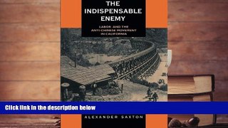 Read Online The Indispensable Enemy: Labor and the Anti-Chinese Movement in California For Ipad