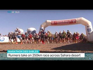 Runners take on 250 km race across Sahara desert