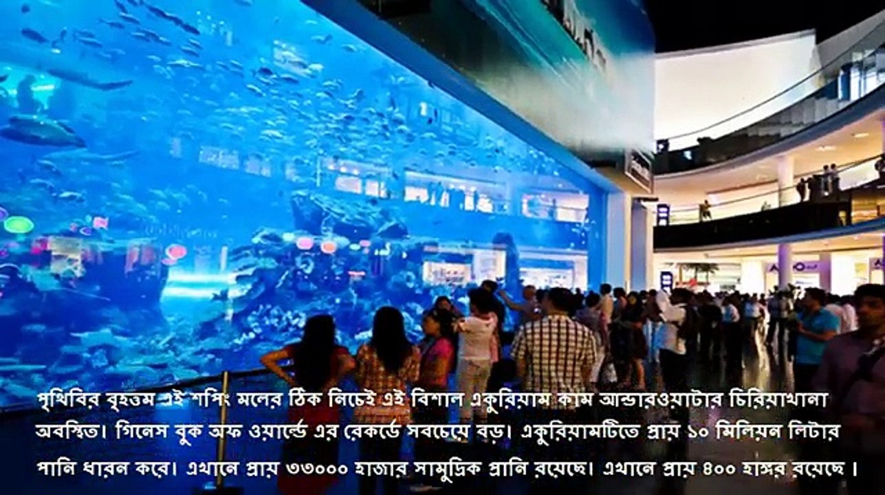 পৃথিবীর সবচেয়ে বিশাল একুরিয়াম কাম আন্ডারওয়াটার চিড়িয়াখানা যাতে ৪০০ হাঙ্গর রয়েছে