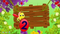 Learning Numbers for Children   Cute Honey Bee Videos for Children   Honey Bee Cartoons for Children