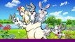 Rabbit Cartoons Finger Family Children Nursery Rhymes | Rabbit Cartoon Finger Family Rhymes
