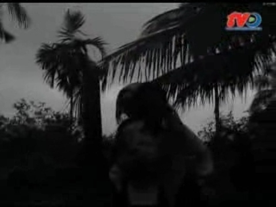 Phong su,Bong hong cai ao