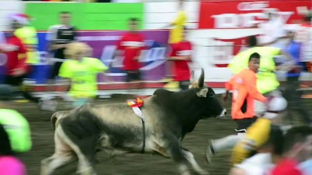 Ticos dan bienvenida a 2017 arriesgando su vida en el ruedo