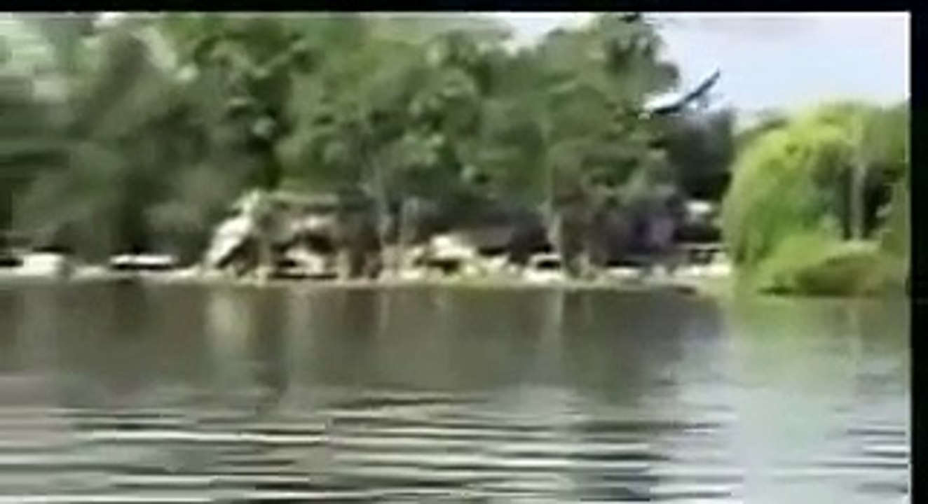 দেখুন কিভাবে মাঝ আকাশে বিমান ভেঙে পড়ল। মর্মান্তিক বিমান দুর্ঘটনা। যা পুরা পৃথিবী তোলপাড় করে দেয়।