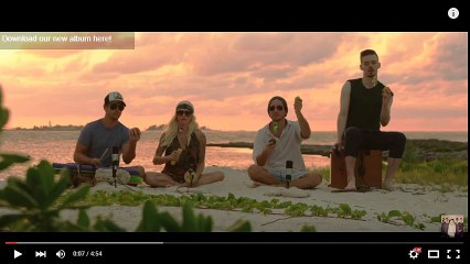 Taylor Swift - Shake It Off