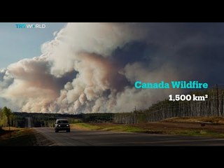 Canada declares state of emergency over wildfires