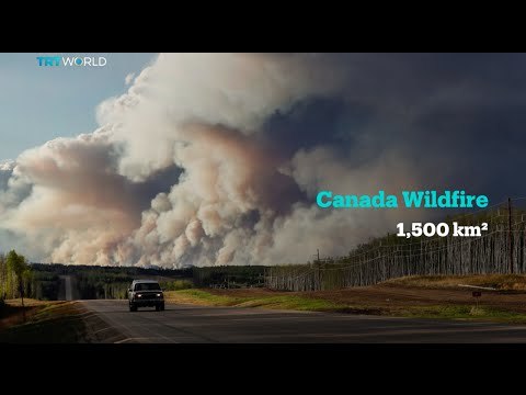 Canada declares state of emergency over wildfires