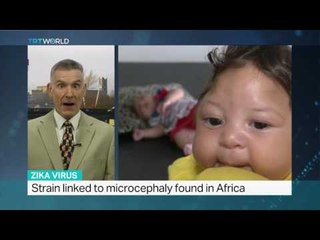 Interview with virologist Derek Gatherer on Zika virus