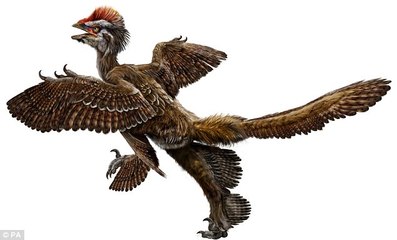 Prehistoric Predators- Terror Bird