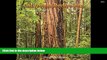 Read  California Redwoods 2017  Ebook READ Ebook
