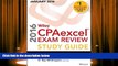 Read  Wiley CPAexcel Exam Review 2016 Study Guide January: Auditing and Attestation (Wiley Cpa
