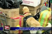 Presentan a canes de la policía adiestrados para detectar pirotécnicos
