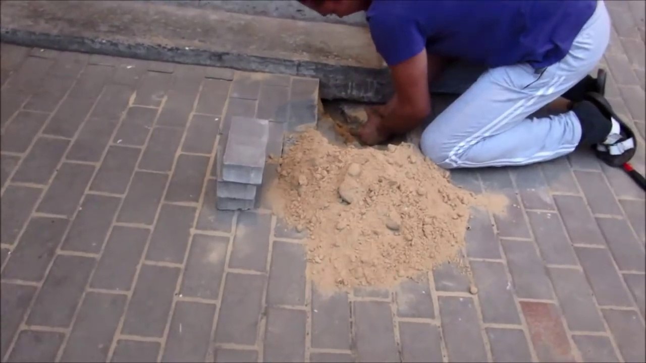 Sauvetage d'un chien coincé sous les pavés du trottoir
