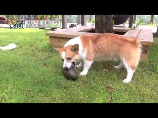 대중소+복보+티비가 만든 스펙타클(?)한 개판!