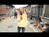 Kosova'da Hayvan Pazarı - Dünyadaki Türkiye - TRT Avaz