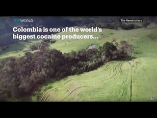 Picture This: Colombia Drugs Bust