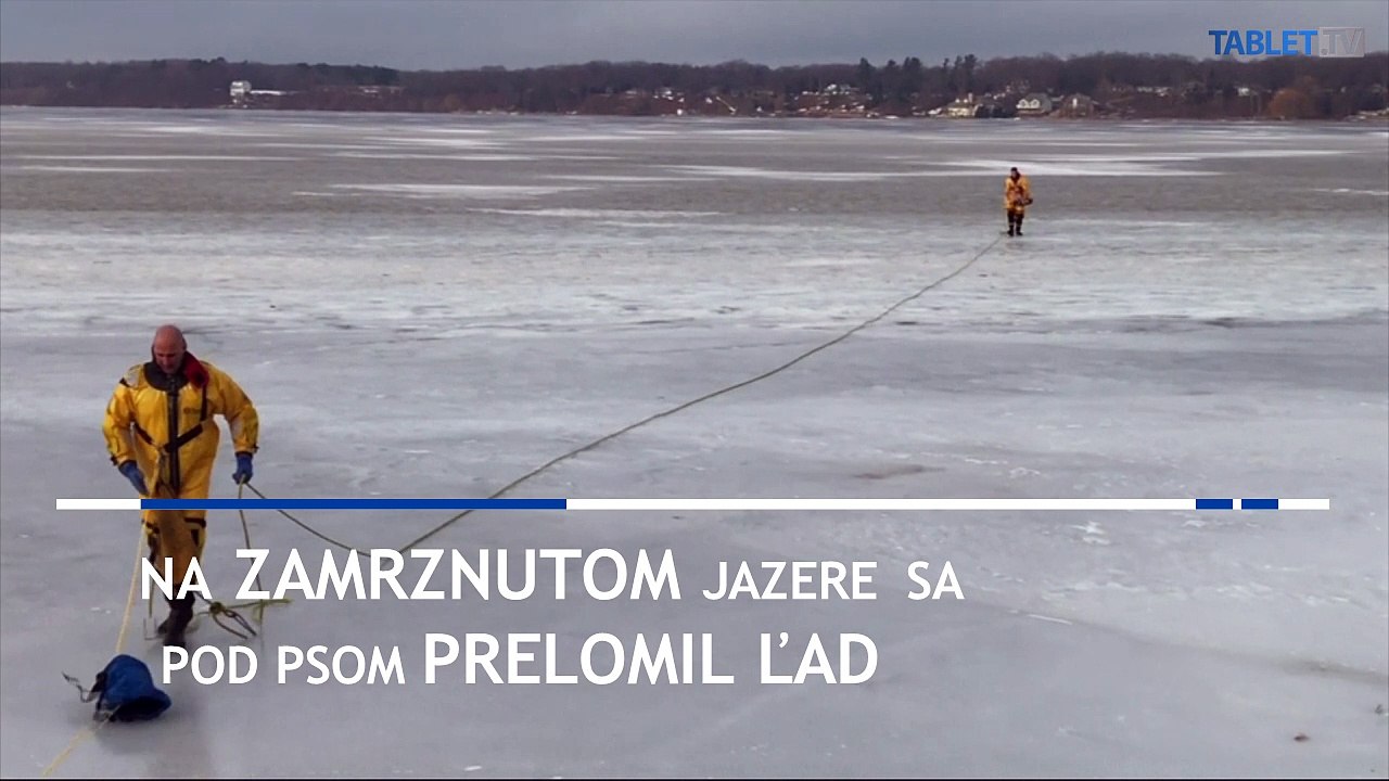 Michiganská polícia zachránila domáceho miláčika